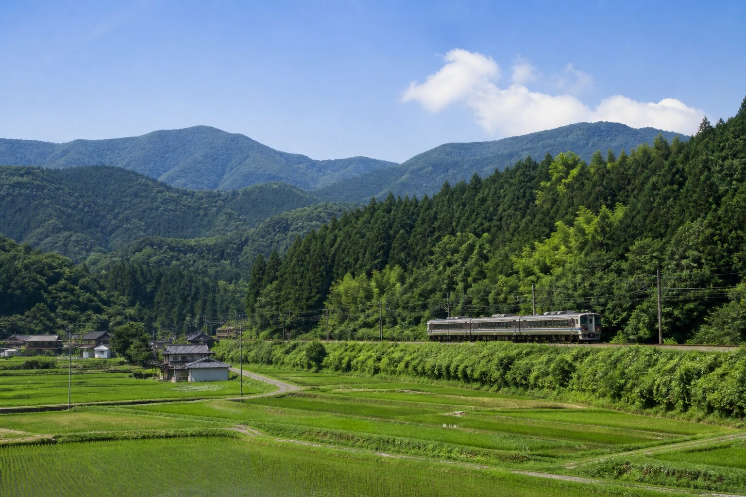 秩父の山あいを走る地方列車のイメージ