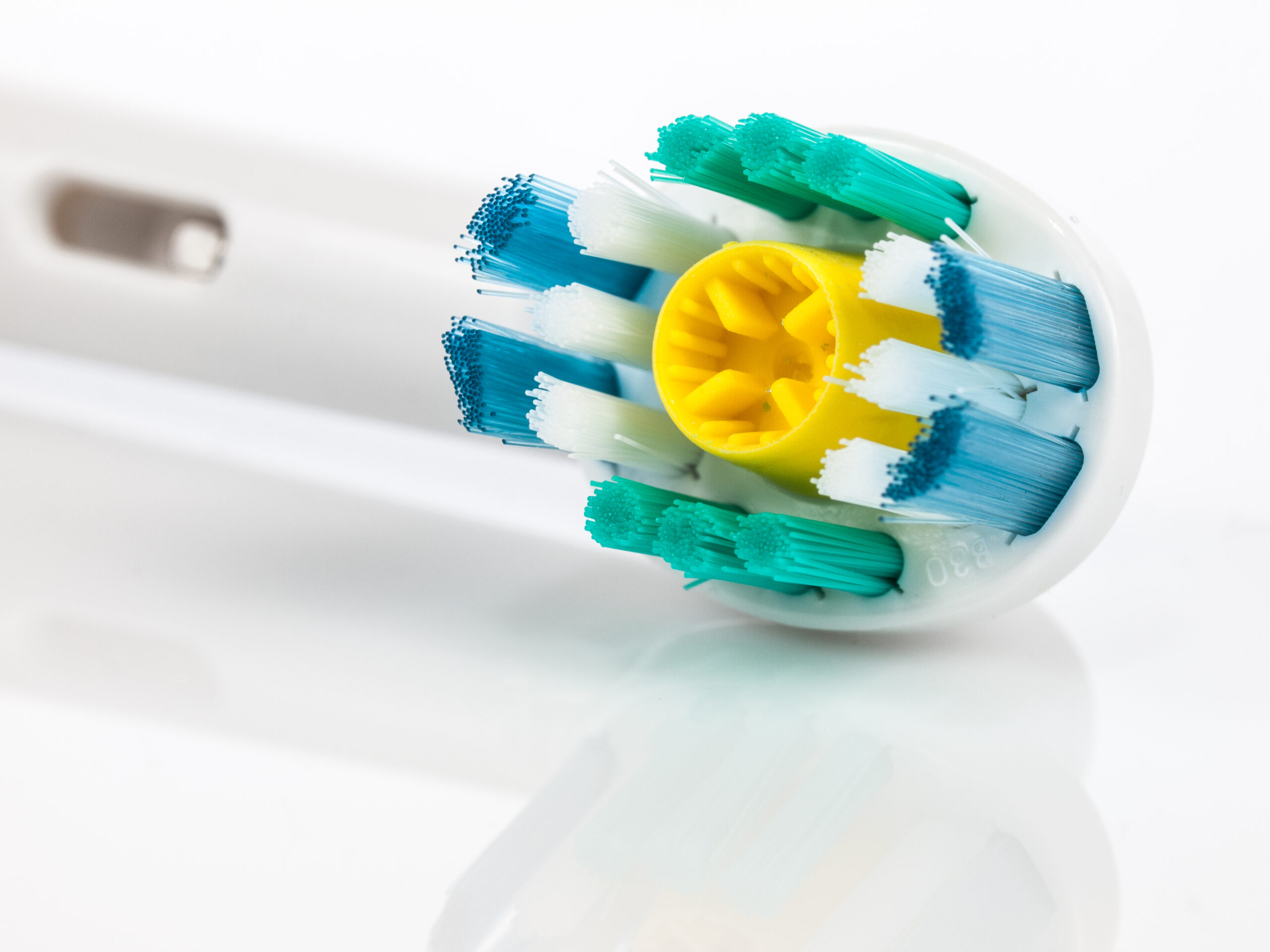 電動歯ブラシ用ブラシヘッドの実写